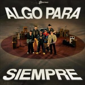 WhatsApp Image 2025 11 15 at 3.51.00 PM