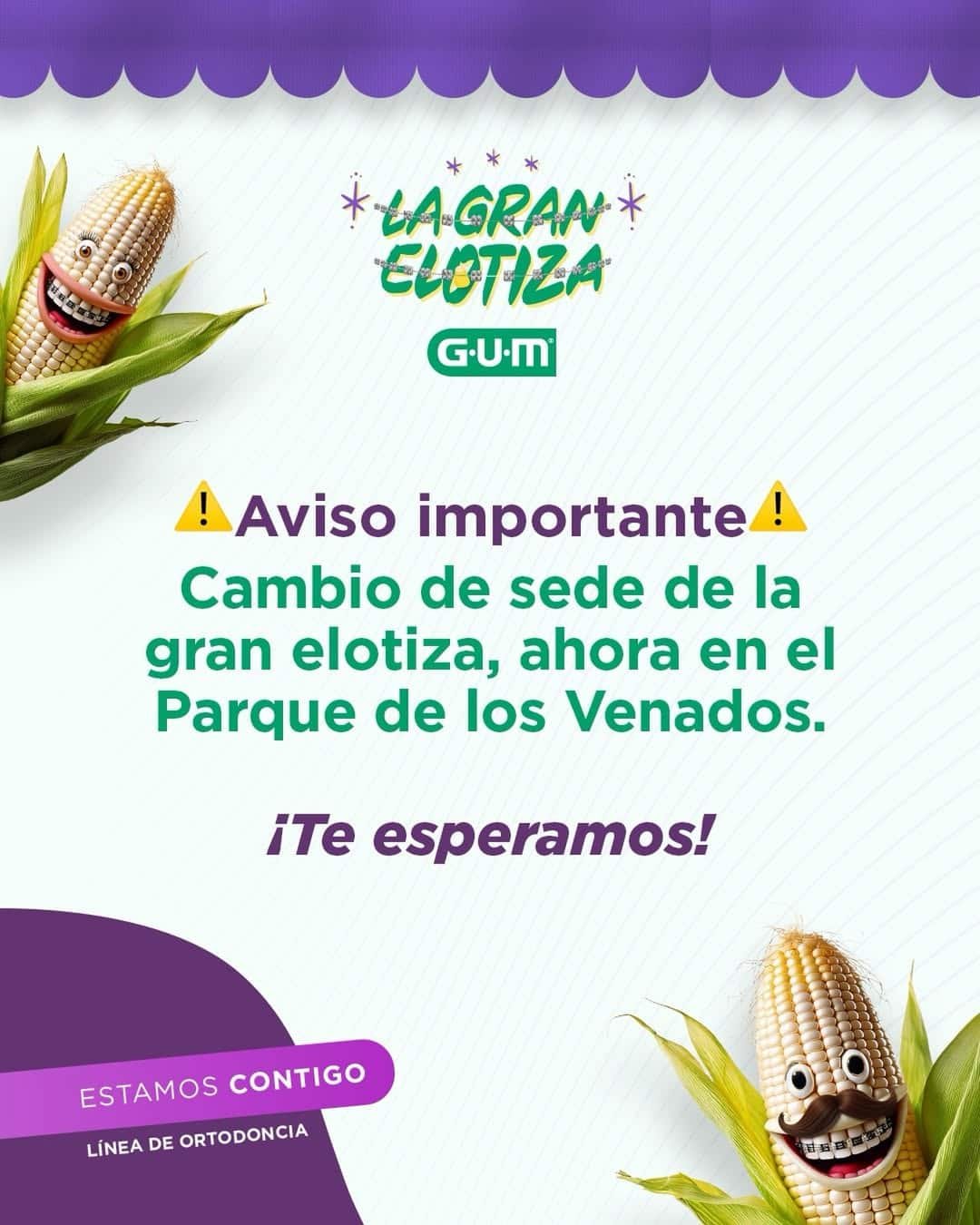 WhatsApp Image 2025 11 29 at 9.28.47 AM 1