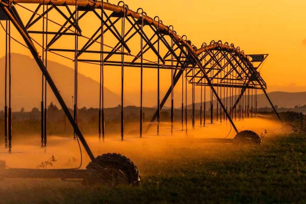 260122 AGRICULTURA PEUA 32