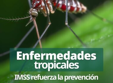 624857498 1333056792196952 4649434275099871634 n