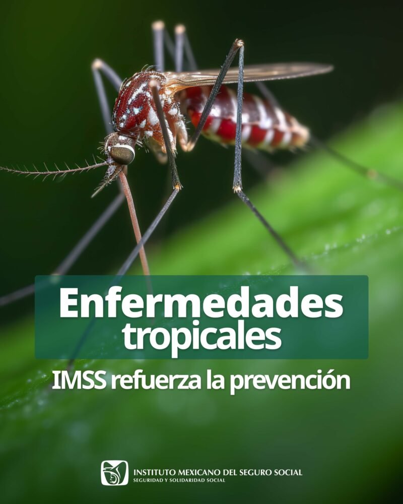 624857498 1333056792196952 4649434275099871634 n