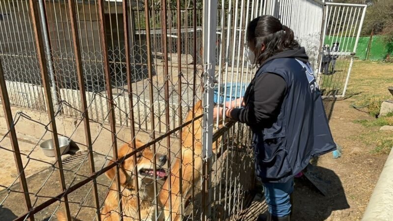 WhatsApp Image 2026 01 26 at 3.49.31 PM