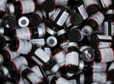 f383080a 80bd 447f abd1 f244d7623137