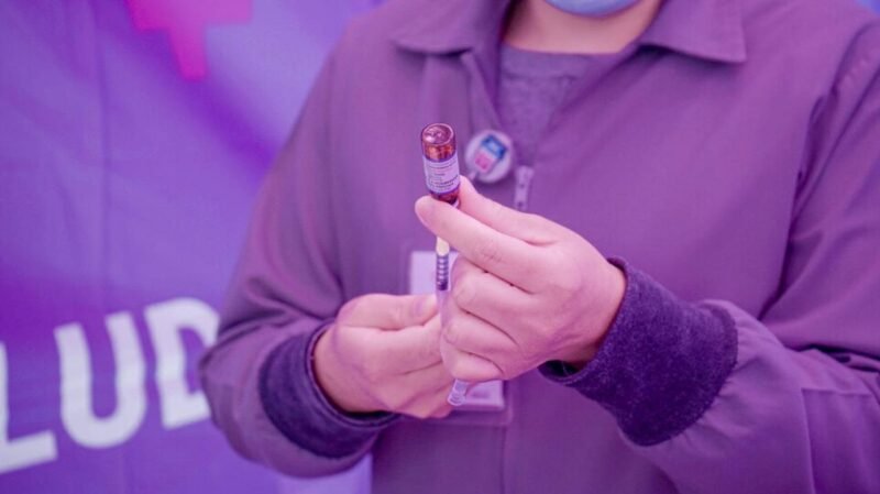 WhatsApp Image 2026 02 09 at 3.13.39 PM