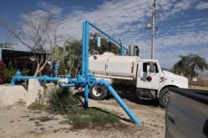 WhatsApp Image 2026 02 10 at 11.35.23 AM 4