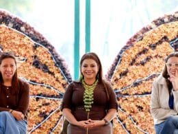 WhatsApp Image 2026 02 11 at 1.07.44 PM 1