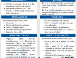 WhatsApp Image 2026 02 11 at 2.23.44 PM