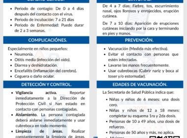 WhatsApp Image 2026 02 11 at 2.23.44 PM