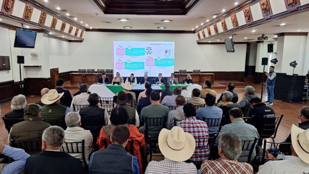 WhatsApp Image 2026 02 12 at 4.45.09 PM