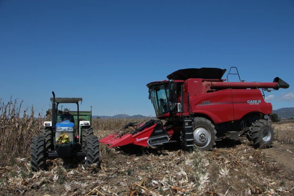 WhatsApp Image 2026 02 13 at 1.09.26 PM 1