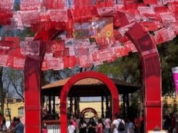 WhatsApp Image 2026 02 17 at 6.30.16 PM