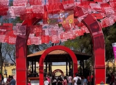 WhatsApp Image 2026 02 17 at 6.30.16 PM