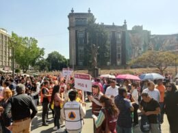 WhatsApp Image 2026 02 18 at 12.18.27 PM 1