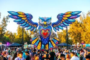 WhatsApp Image 2026 02 23 at 4.49.44 PM