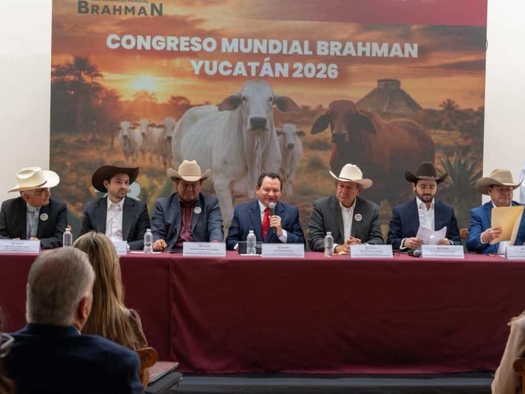 WhatsApp Image 2026 02 26 at 2.43.04 PM