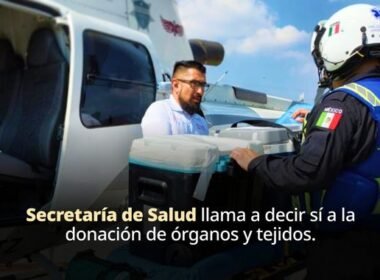 WhatsApp Image 2026 02 26 at 3.37.30 PM