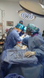 c9a42e98 740c 4741 8347 8310d8774564