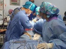 c9a42e98 740c 4741 8347 8310d8774564