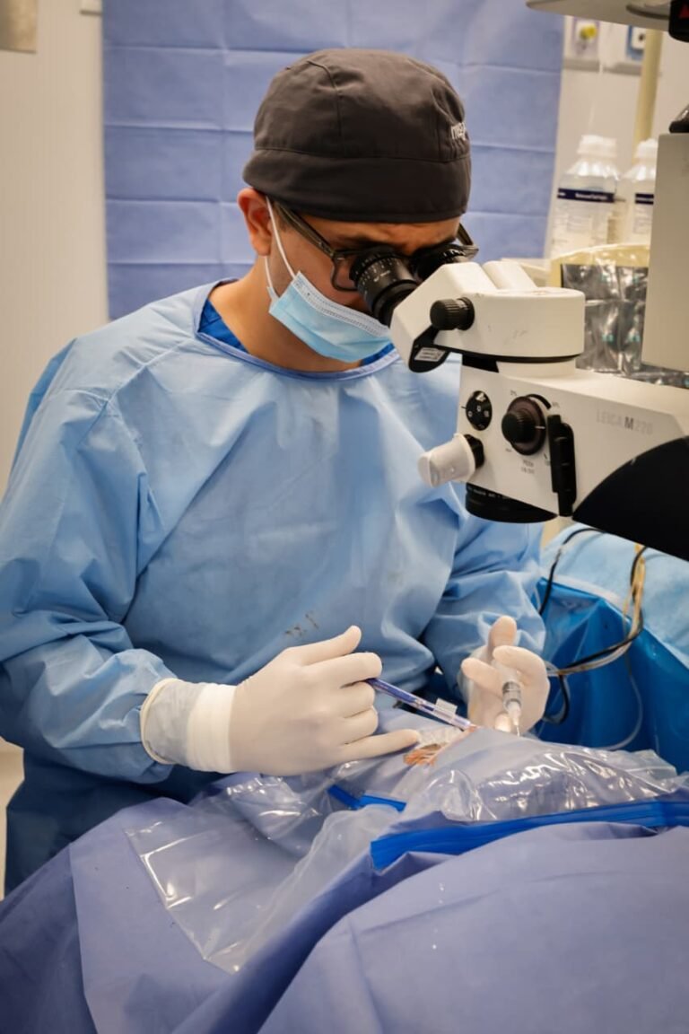 e381334f 32ad 4b82 aecd fcb8405d36b9