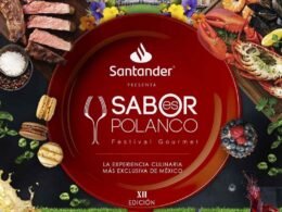 image processing20260221 8 yzw0eo