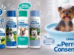 02666660 69ae 4d93 85f9 d7eb2449be1e