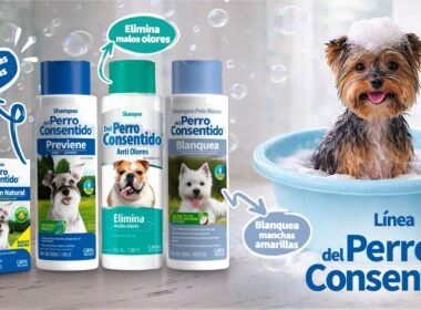 02666660 69ae 4d93 85f9 d7eb2449be1e