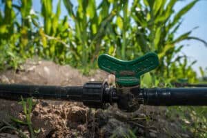 260122 AGRICULTURA PEUA 54