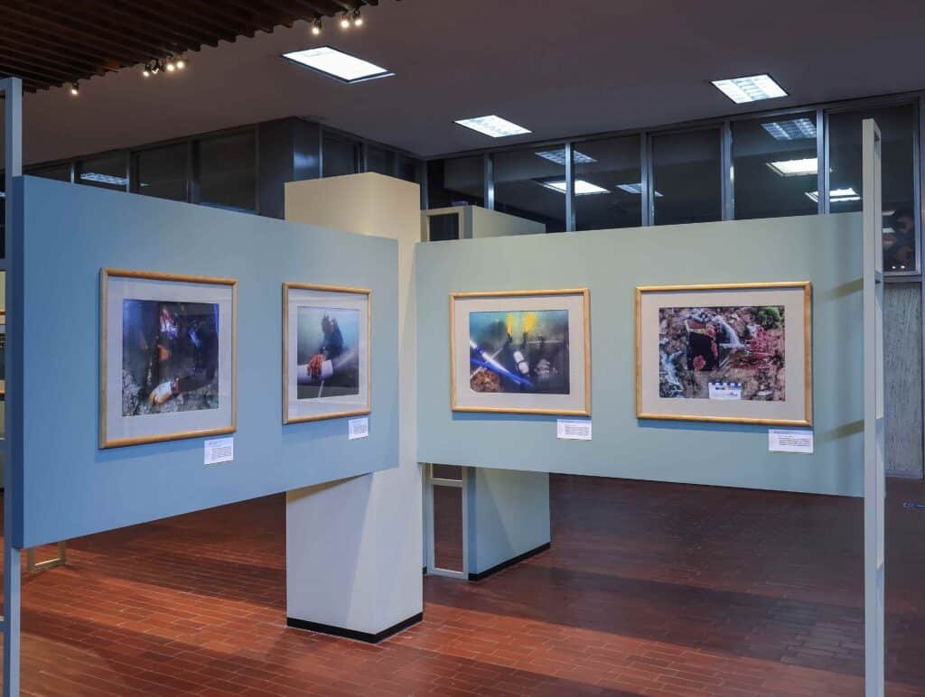 PORT ROYAL 03 Fotos Luis Gerardo Pena Torres© 1