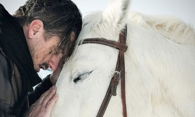 WhatsApp Image 2026 03 03 at 3.00.40 PM