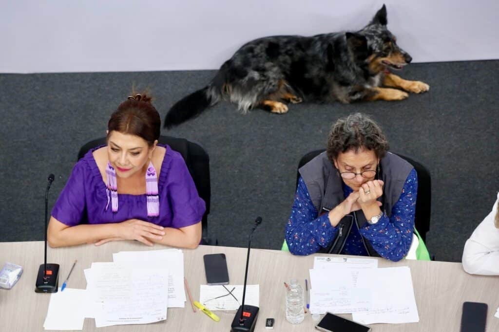 WhatsApp Image 2026 03 10 at 3.04.04 PM 1