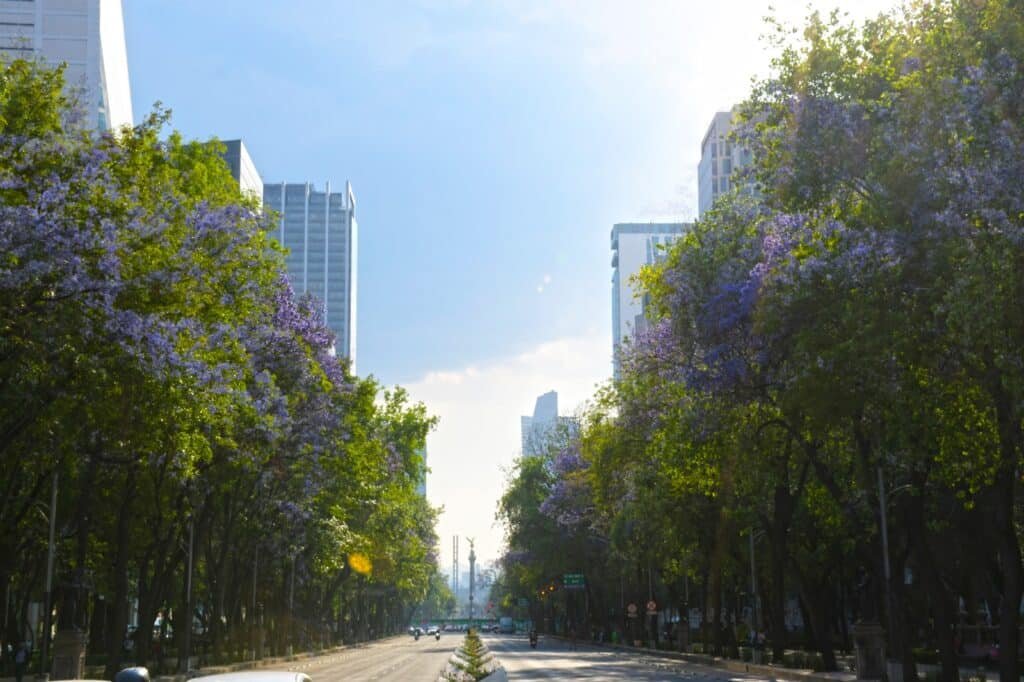 WhatsApp Image 2026 03 13 at 7.49.48 AM 1