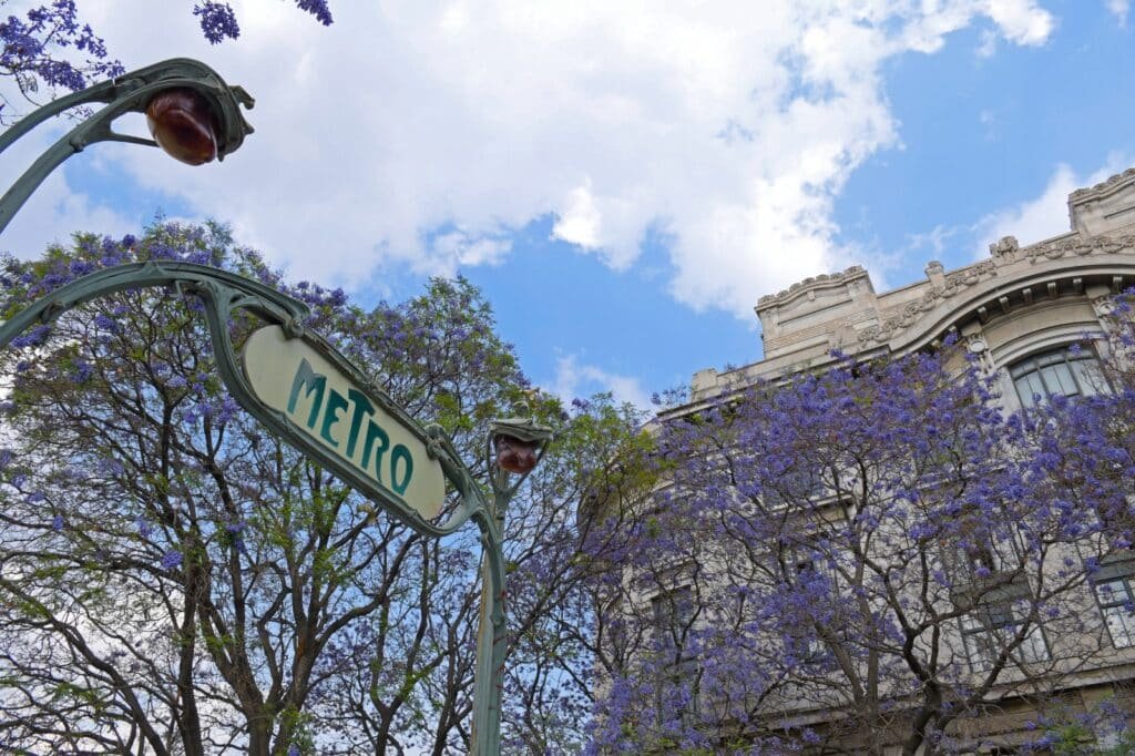 WhatsApp Image 2026 03 13 at 7.49.48 AM