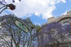 WhatsApp Image 2026 03 13 at 7.49.48 AM