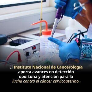 WhatsApp Image 2026 03 26 at 2.47.49 PM