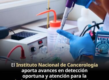 WhatsApp Image 2026 03 26 at 2.47.49 PM