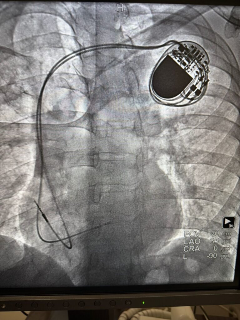 WhatsApp Image 2026 03 27 at 5.13.18 PM 1