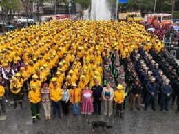 WhatsApp Image 2026 03 31 at 2.46.04 PM 1