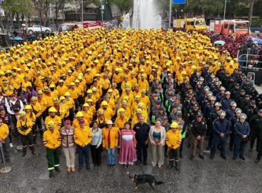 WhatsApp Image 2026 03 31 at 2.46.04 PM 1