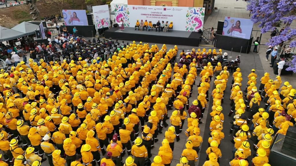 WhatsApp Image 2026 03 31 at 2.46.04 PM