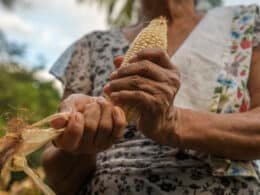 260414 AGRICULTURA descarta alza en precios de maiz y harina 7