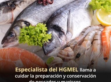 WhatsApp Image 2026 04 02 at 12.19.28 PM