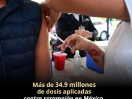 WhatsApp Image 2026 04 13 at 11.11.11 AM