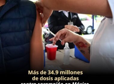 WhatsApp Image 2026 04 13 at 11.11.11 AM