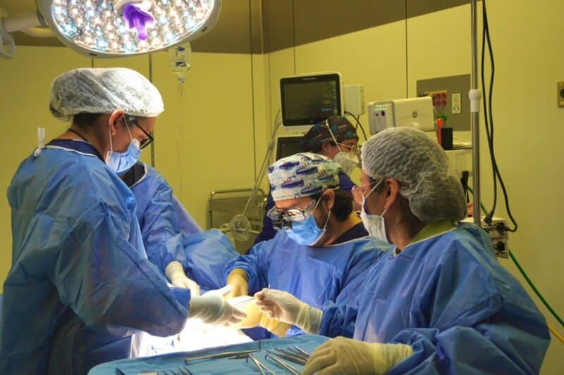 WhatsApp Image 2026 04 17 at 3.41.35 PM