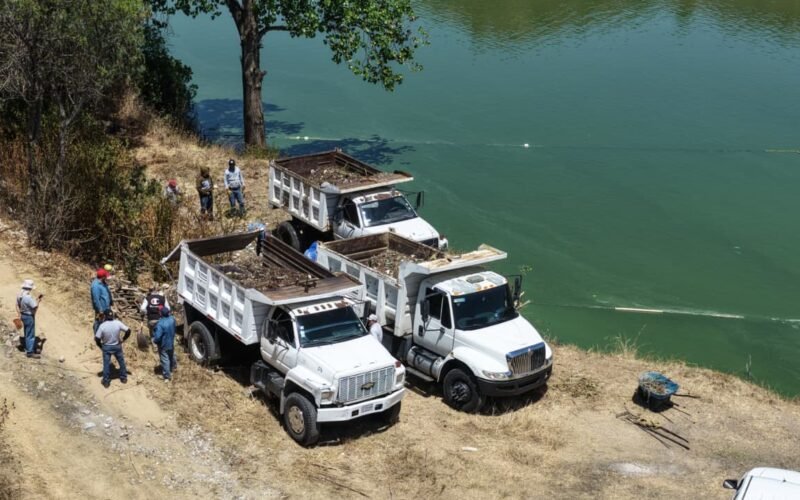 WhatsApp Image 2026 04 21 at 5.23.08 PM