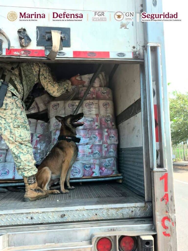 WhatsApp Image 2026 04 29 at 1.16.26 PM