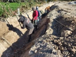 WhatsApp Image 2026 04 29 at 3.11.07 PM 1