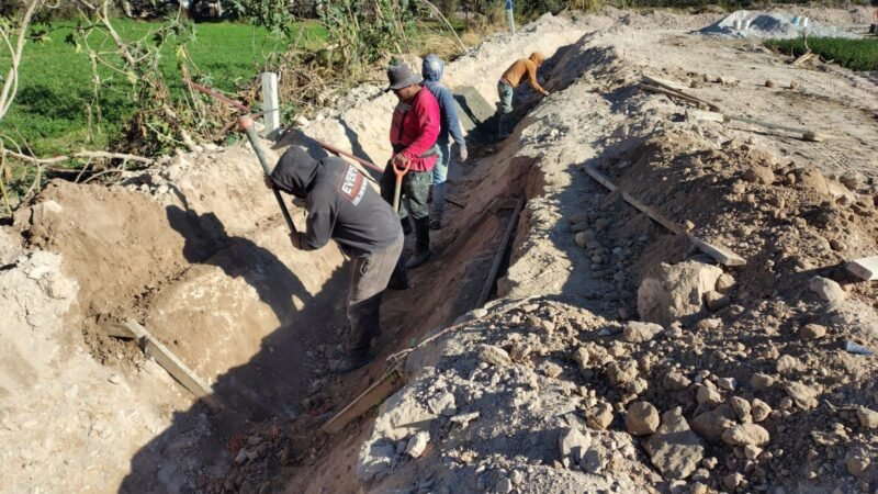 WhatsApp Image 2026 04 29 at 3.11.07 PM 1