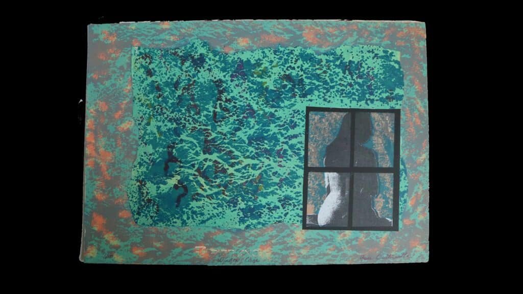 Window cage Grace Quintanilla cortesia