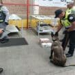 220526 ESTADO DE MEXICO 01